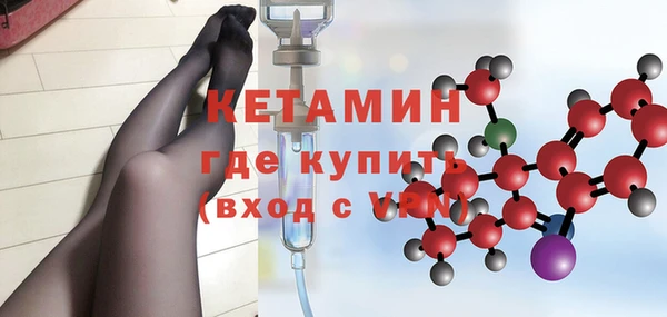 шишки Аркадак