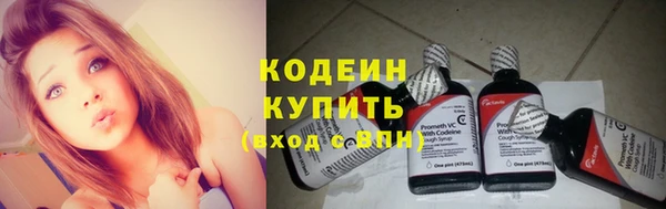 спиды Снежногорск