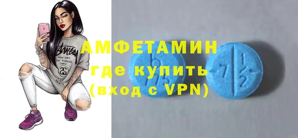 шишки Аркадак