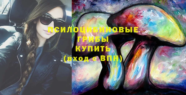 шишки Аркадак