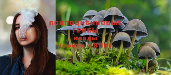амф Армянск