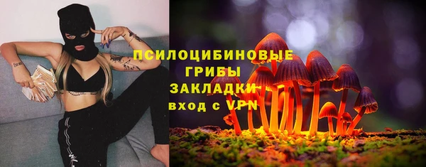 шишки Аркадак
