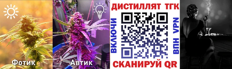 где найти   Нижний Ломов  ТГК гашишное масло 